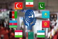 EİT Zirvesi kasımda Özbekistan'da yapılacak