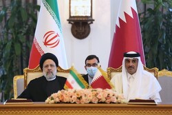 Tehran-Doha to expand bilateral trade relations: Official   