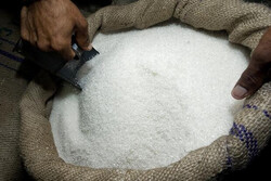 محموله بزرگ شکر احتکار شده در گناوه کشف شد