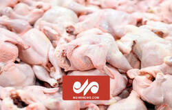 عرضه مرغ ۵۰ هزار تومانی در میدان بهمن