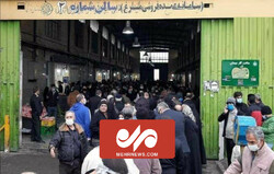 توزیع ۱۷۰ تن مرغ در تهران