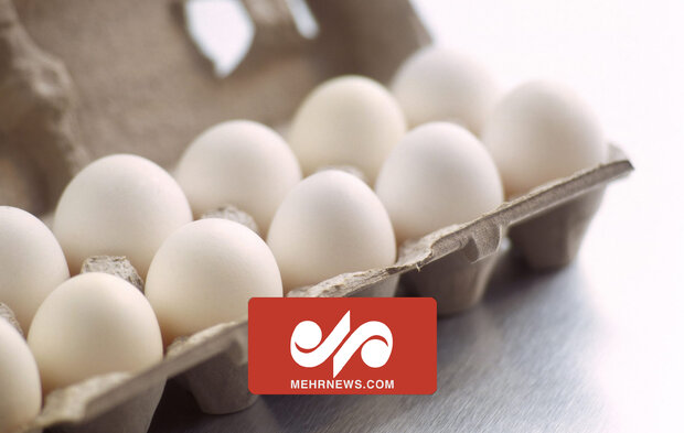 رکورد تولید تخم‌ مرغ در کشور