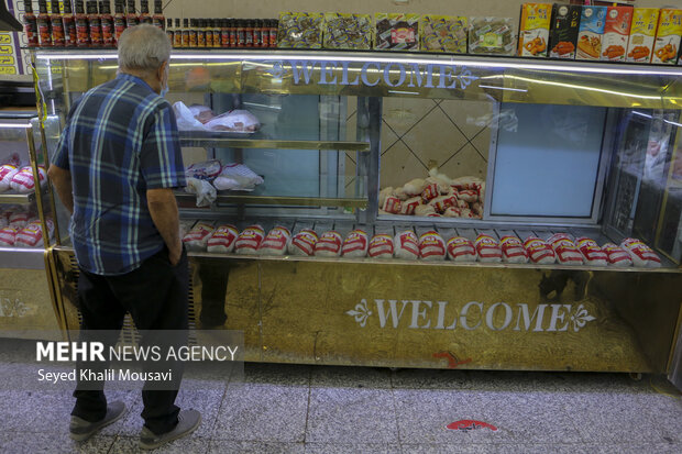 سامانه توزیع هوشمند گوشت مرغ در استان سمنان راه اندازی می‌شود