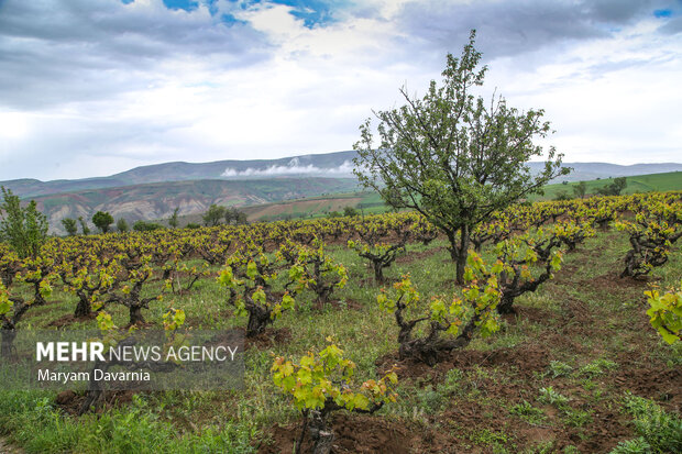 بهشت زیبای خراسان شمالی