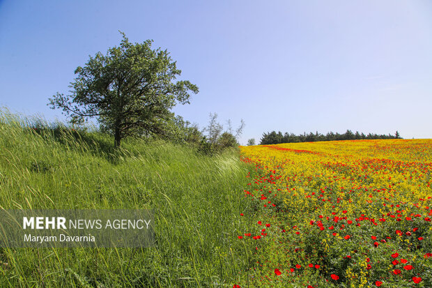 بهشت زیبای خراسان شمالی