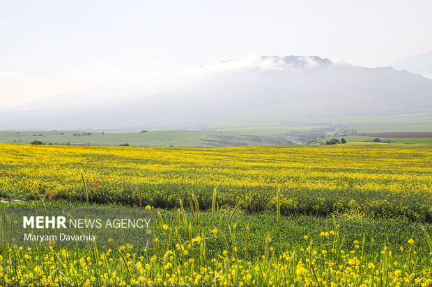 بهشت زیبای خراسان شمالی