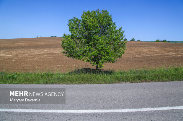 بهشت زیبای خراسان شمالی