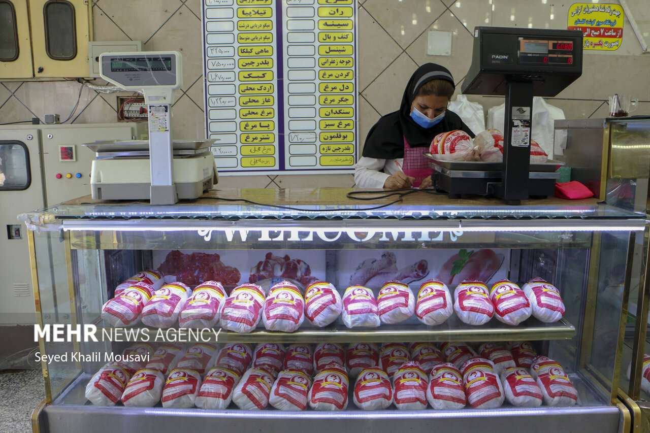 افزایش قیمت مرغ به دلیل کمبود نهاده‌های طیور