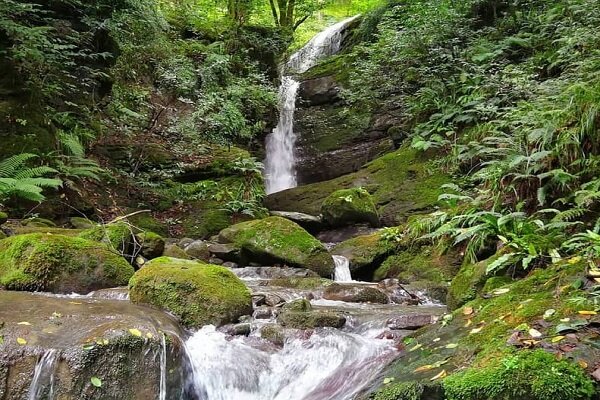 Mazenderan'daki turistik 'Galeşkola' şelalesi