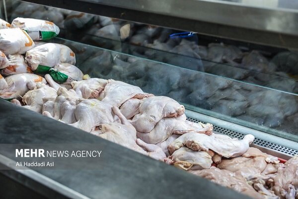 توزیع بیش از ۴۴ تن مرغ منجمد در استان قزوین