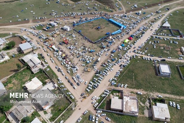 Festival of Turkmen Horse in Golestan province
