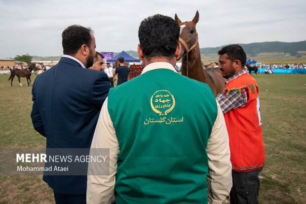 Festival of Turkmen Horse in Golestan province
