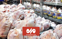 عرضه مرغ گرم به قیمت ۳۷ تا ۴۰ هزار تومان
