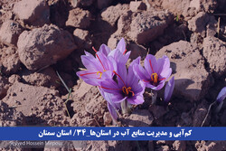 روایت خشکسالی والگوی کشت در استان سمنان/ ضرورت ترویج کشت مشارکتی