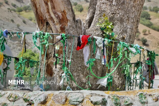 امامزاده ابراهیم(ع) نورآباد