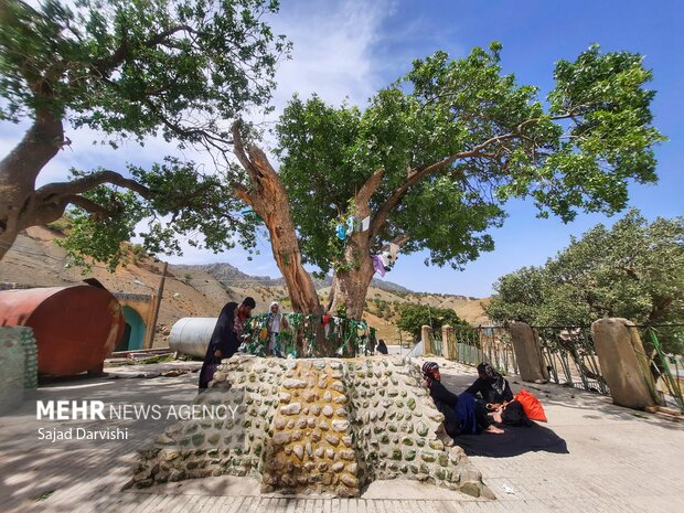 امامزاده ابراهیم(ع) نورآباد