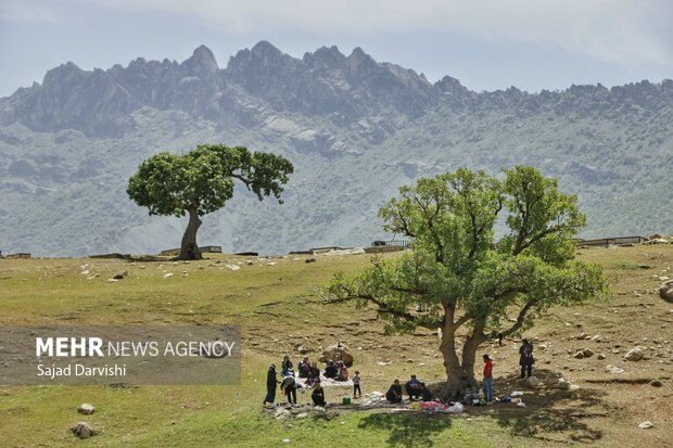 امامزاده ابراهیم(ع) نورآباد
