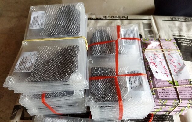 ۱۹ هزار جعبه تخم نوغان وارد شهرستان تربت حیدریه شده است