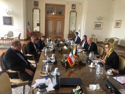 صفري يعلن عن استعداد إيران للتعاون مع سلوفاكيا في مختلف المجالات