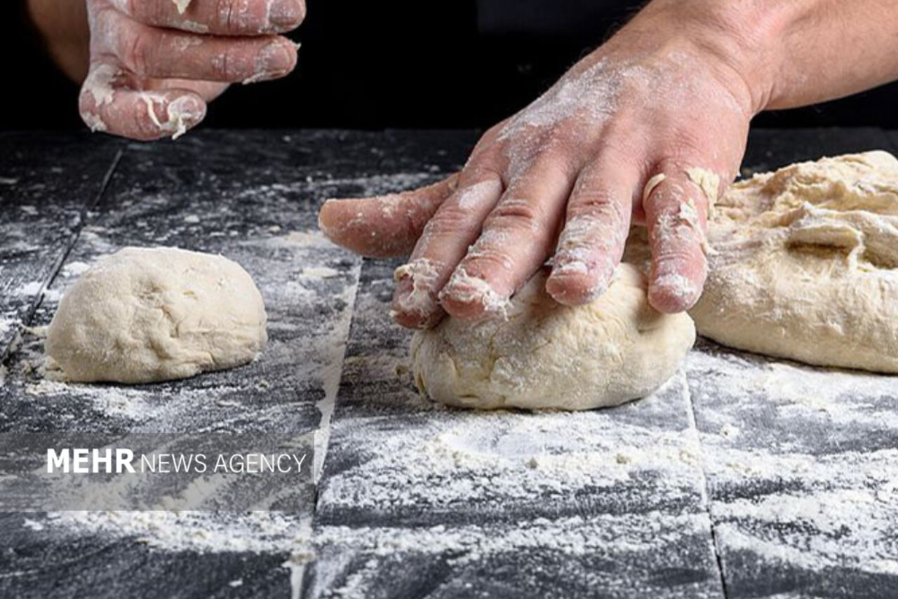 تشکیل پرونده برای ۵۲۴ نانوایی متخلف در خراسان شمالی