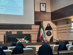 نرخ باروری در کرمانشاه طی سال‌های اخیر کاهش یافته است