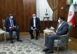 گسترش مبادلات با کشورهای آفریقایی از اولویت‌های سیاست خارجی ایران است