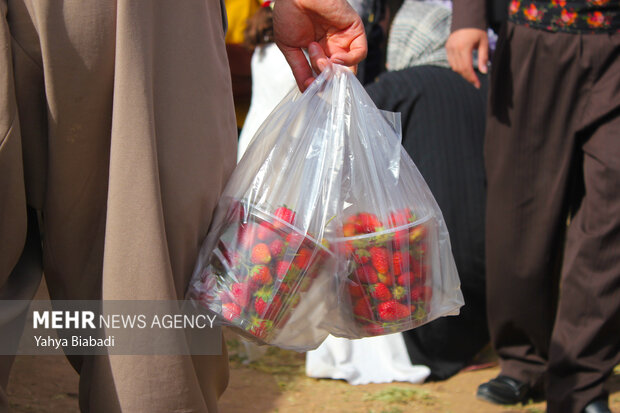 Strawberry festival in Kermanshah
