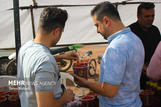 Strawberry festival in Kermanshah
