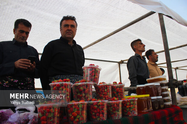 Strawberry festival in Kermanshah
