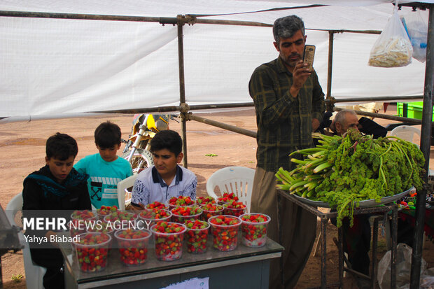 Strawberry festival in Kermanshah
