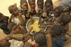 18mn in African on ‘brink of starvation’: report