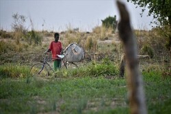 ۱۸ میلیون آفریقایی با تهدید ناامنی غذایی مواجه‌اند