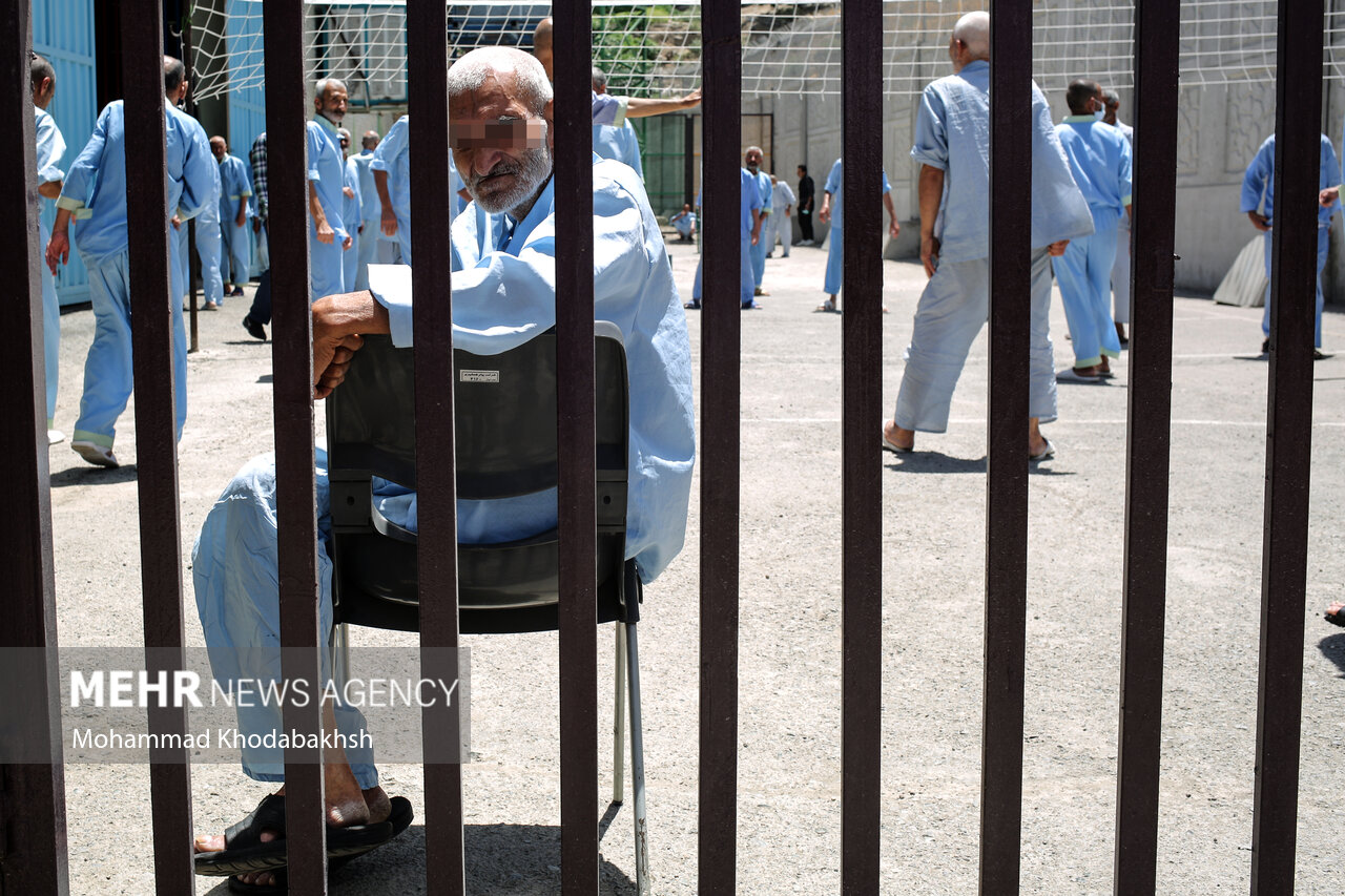 ماجرای رهاسازی معتادان متجاهر تنها ساعتی پس از جمع‌آوری