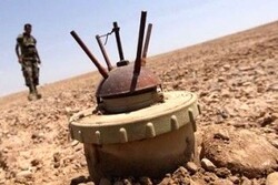 3 shepherds killed in landmine explosion in central Iraq