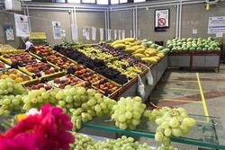 بیش از ۶ هزار تن بار میوه و صیفی وارد تهران شد