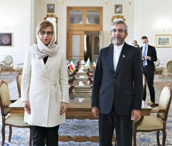 رایزنی مستمر و تبادل تجربیات میان ایران و بلغارستان ضرورت دارد