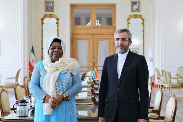 Bagheri meets S African, Bulgarian counterparts in Tehran