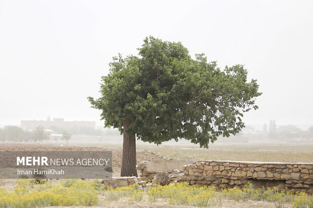 آلودگی هوا در همدان