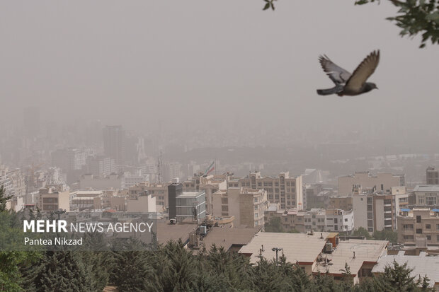گزارش تحلیلی وضعیت شاخص آلودگی هوا در هشت کلانشهر کشور