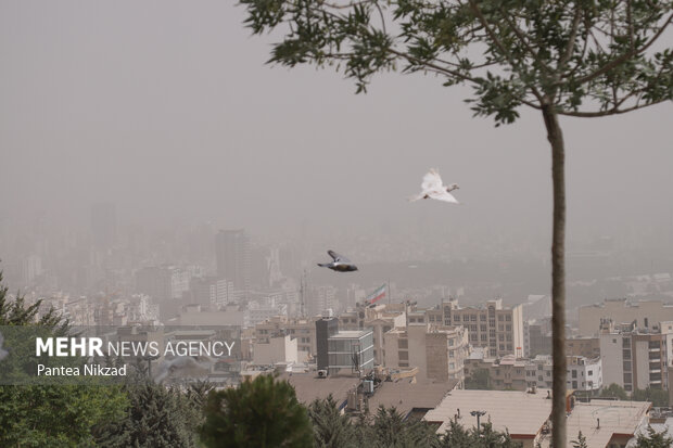 غبار محلی پدیده غالب مناطق مرکزی اصفهان/ هوا سردتر می‌شود