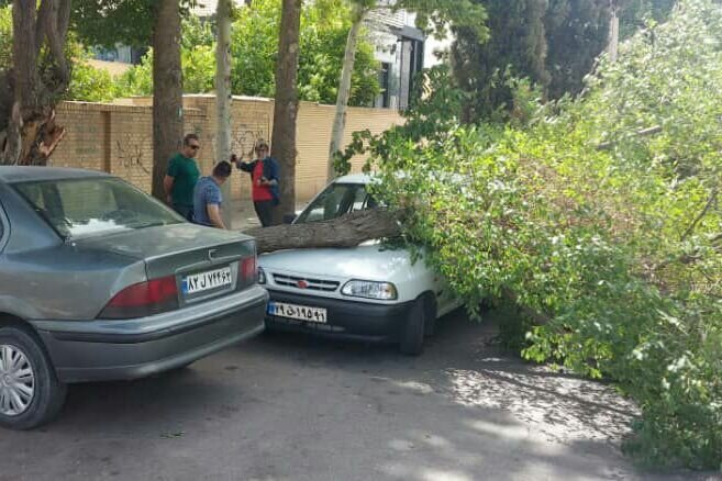 ۱۰۰ عملیات آتش‌نشانی در پی وزش شدید باد در شیراز انجام شد
