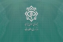 وزارت اطلاعات جزئیاتی جدید از دستگیری تیم تروریستی رژیم صهیونیستی منتشر کرد