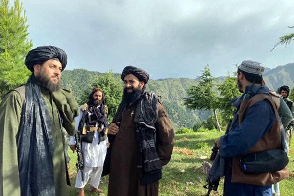 Contradictory reports on Taliban defense min. assassination 