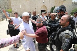 المستوطنين الصهاينة يطلقون شعارات ورقصات استفزازية عند باب العامود