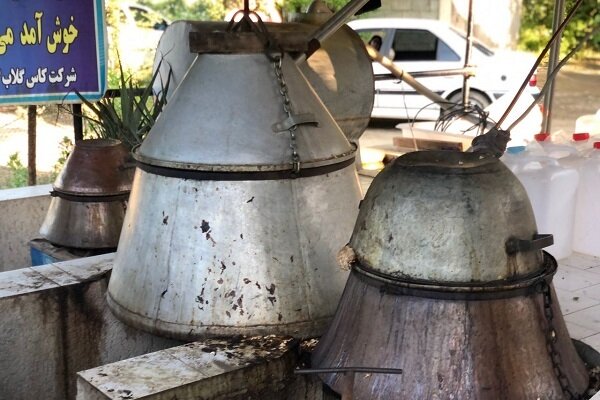 کارآفرینی با رایحه «گل محمدی» در شفت