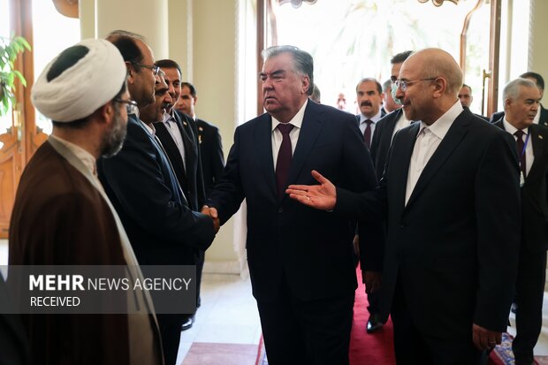 دیدار رئیس جمهور تاجیکستان با رئیس مجلس شورای اسلامی