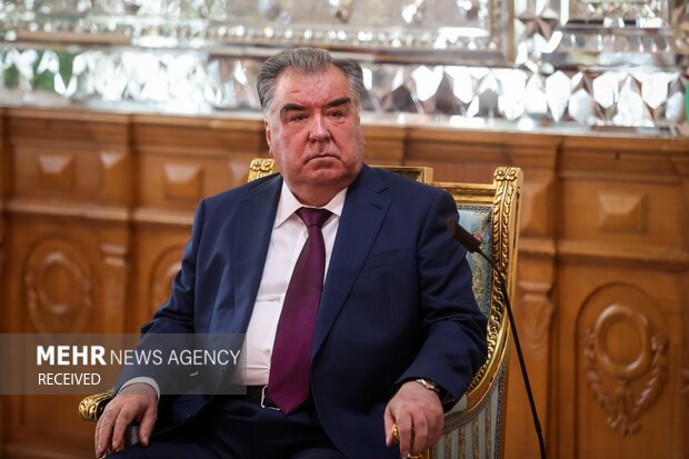 دیدار رئیس جمهور تاجیکستان با رئیس مجلس شورای اسلامی