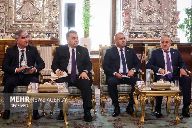 Meeting between Iran parl. speaker and Tajikistan president
