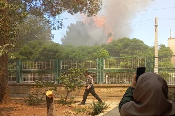 آتش گرفتن چند درخت در محوطه یکی از هتل‌های یزد/آتش مهار شد