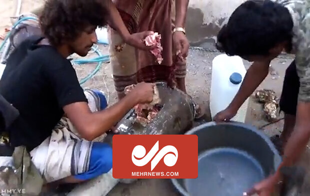 غذائی میزائل/ یمنی فوج کی امداد رسانی کے سلسلے میں نئی خلاقیت 
